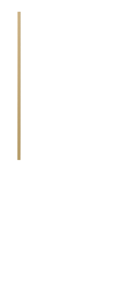 /img/Products_img/TM/Doors/Glass/TM3.png
