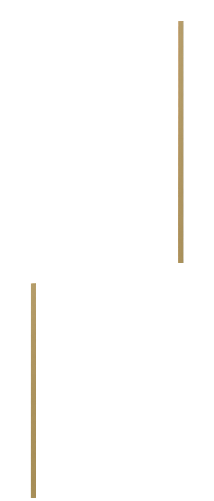 /img/Products_img/TM/Doors/Glass/TM4.png