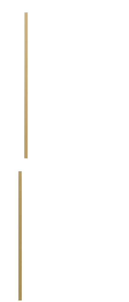 /img/Products_img/TM/Doors/Glass/TM7.png